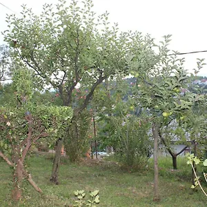 Tutnovo 13 Apartment